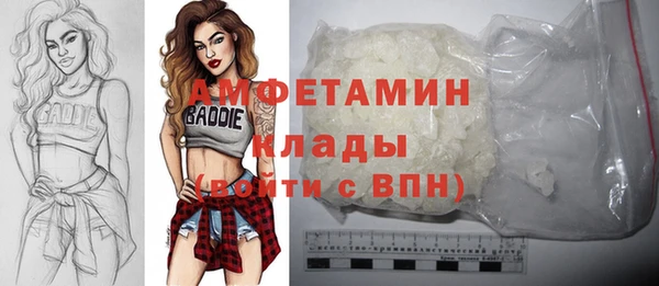 индика Инта