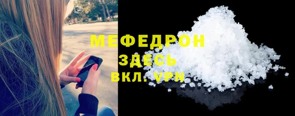 индика Инта