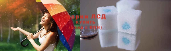 твердый Заводоуковск