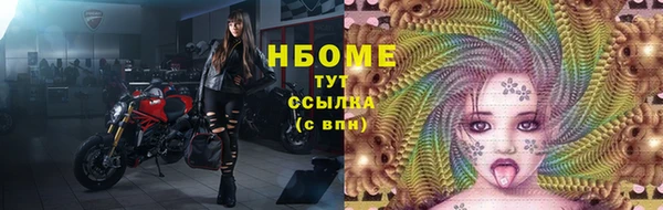 твердый Заводоуковск