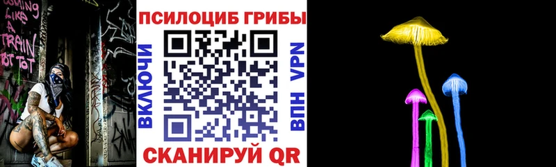 ОМГ ОМГ ССЫЛКА  купить   Пустошка  Псилоцибиновые грибы GOLDEN TEACHER 